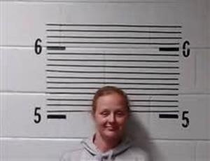 Mugshot of LANIER