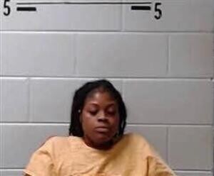 Mugshot of HAYNES