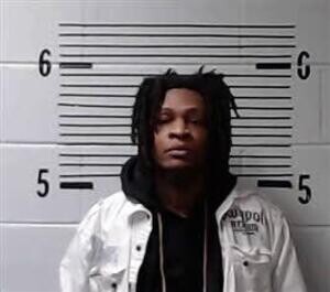 Mugshot of PERRY