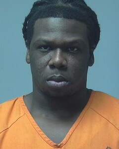Mugshot of DAVID BLEVINS