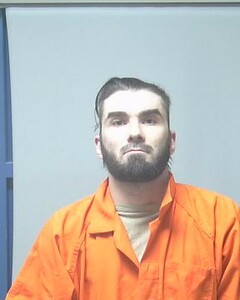 Mugshot of WILLIAM GIDDINS