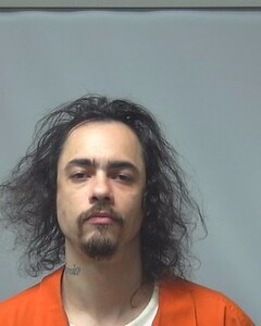 Mugshot of TAYLOR HIGDON