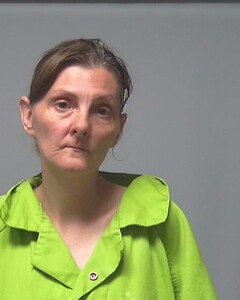 Mugshot of ANN DUBOSE