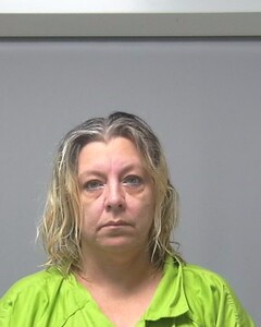 Mugshot of DANA BOYINGTON