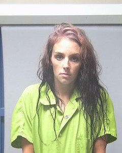 Mugshot of HOUSTON NELSON