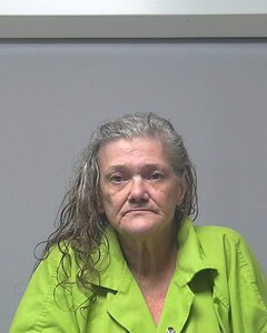 Mugshot of ANGELA SALTER