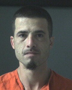 Mugshot of JOSEPH WEESE