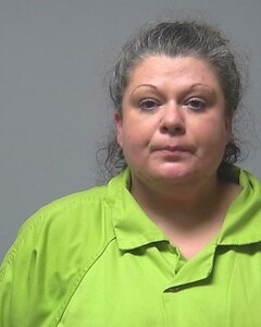 Mugshot of ASHLEY FINDLEY