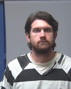 Mugshot of TYLER MCILWAIN