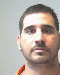 Mugshot of WINSTON BRYAN