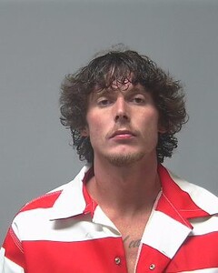 Mugshot of DYLLAN THOMPSON
