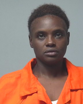 Mugshot of BRIANNA ROBINSON