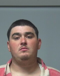 Mugshot of DAVID VICKERY