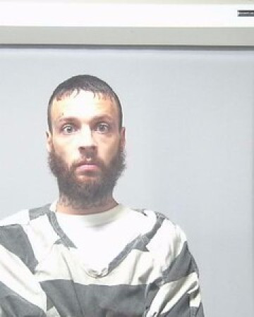 Mugshot of DUSTEN RICHARDSON