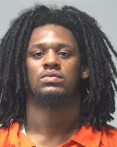 Mugshot of KOHL-LEON STALLION