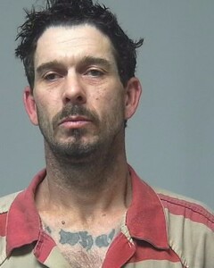 Mugshot of JOHNNY WHITE