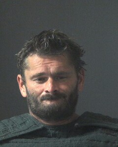 Mugshot of JAMES WILLIAMSON