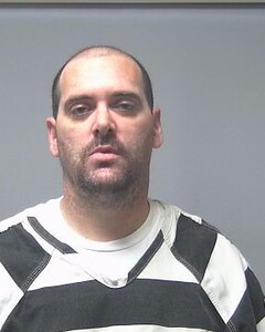 Mugshot of BRYAN GIBBS