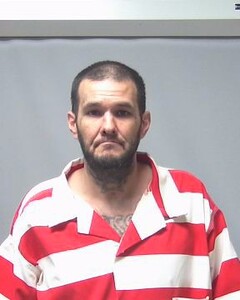 Mugshot of SEAN FIRTH