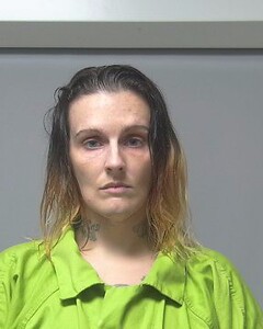Mugshot of STACEY WEAVER