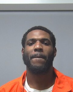 Mugshot of CHRISTILE STALLWORTH