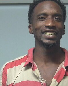Mugshot of BRANDON MCNEAL