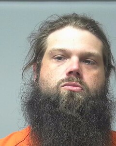 Mugshot of TYLER REEVE