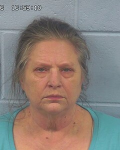 Mugshot of SHERRY TOWNSON