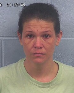 Mugshot of TONI JOHNSON