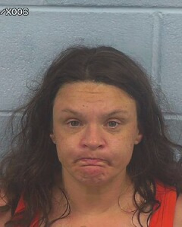 Mugshot of JENNIFER WOODS/KEENER