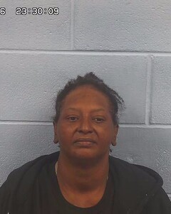 Mugshot of KIESHA BUTLER