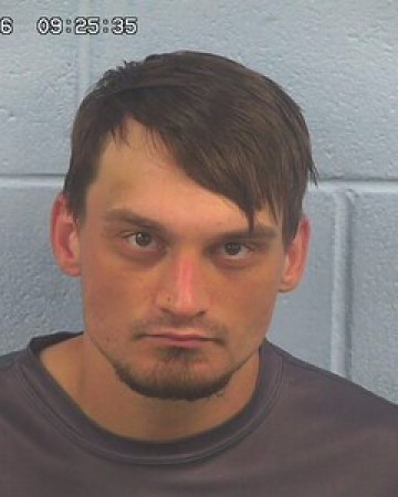 Mugshot of DALTON DAVIS