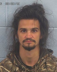 Mugshot of BLAKE WHITMORE