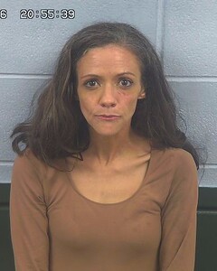 Mugshot of JULIE DAWSON