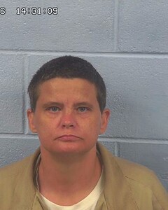 Mugshot of BOBBI WHITE