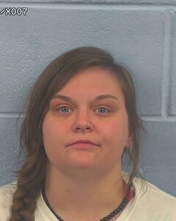 Mugshot of CHELSEA WATKINS