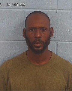 Mugshot of DEMICHAEL ELERY