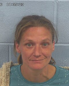 Mugshot of MELISSA MCINTYRE