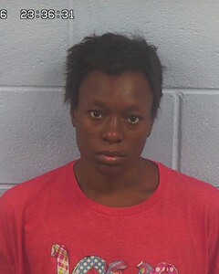 Mugshot of ANDREA VOYER