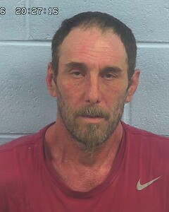 Mugshot of WAYNE MCEARCHERN