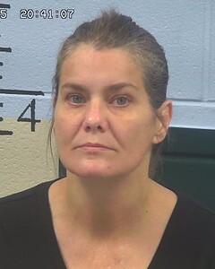 Mugshot of DANA COX