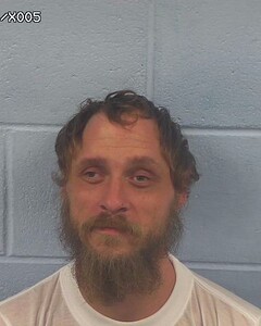 Mugshot of AARON WILLIAMS