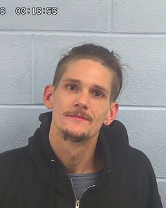 Mugshot of GAVIN NELSON