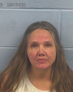 Mugshot of CYNTHIA DAVIDSON