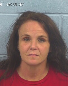 Mugshot of CATHY BRAGG