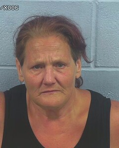 Mugshot of SHARON SHEFFIELD