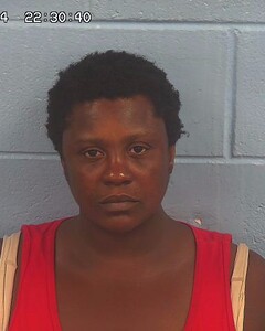 Mugshot of ANNETTE SMITH