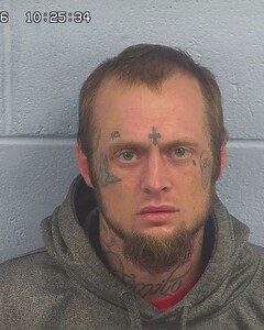 Mugshot of COLTON WORKS