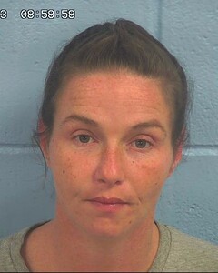 Mugshot of HANNA CHILDRESS