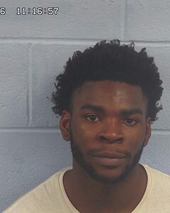 Mugshot of TITORIUS BRIDGES